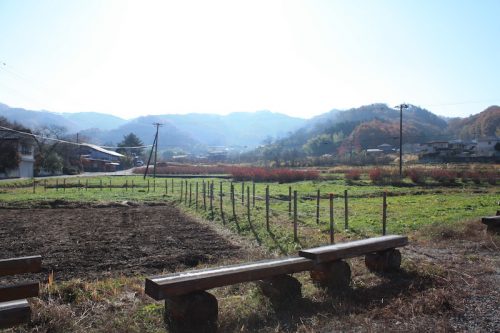 福島県福島市 花見山公園の情報 2018年11月27日 IMG_5489