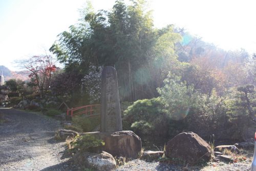 福島県福島市 花見山公園の情報 2018年11月27日 IMG_5495