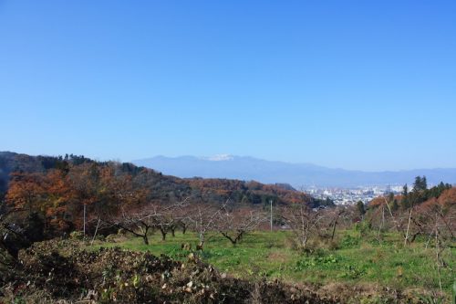 福島県福島市 花見山公園の情報 2018年11月27日 IMG_5497