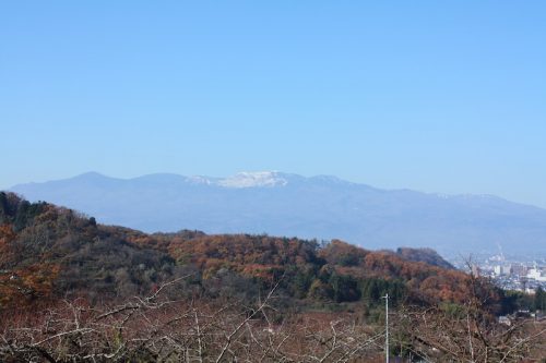 福島県福島市 花見山公園の情報 2018年11月27日 IMG_5498