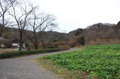 福島県福島市 花見山公園の情報 2018年12月11日 IMG_5505