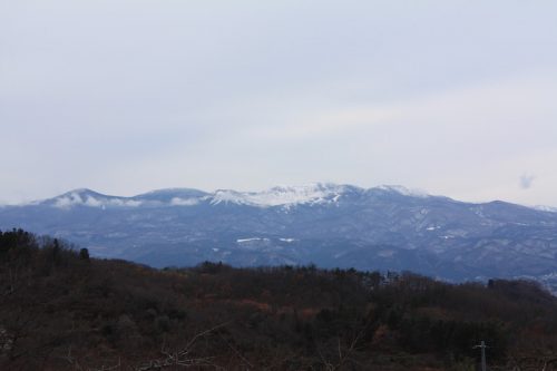 福島県福島市 花見山公園の情報 2018年12月11日 IMG_5507