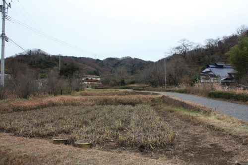 福島県福島市 花見山公園の情報 2018年12月11日 IMG_5509