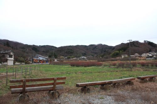 福島県福島市 花見山公園の情報 2018年12月11日 IMG_5511