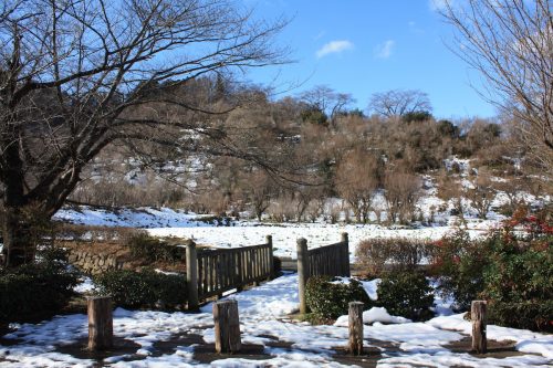 福島県福島市 花見山公園の情報 2019年1月11日 IMG_5513