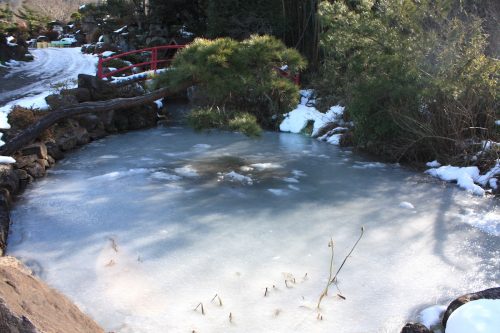 福島県福島市 花見山公園の情報 2019年1月11日 IMG_5515