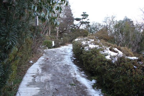 福島県福島市 花見山公園の情報 2019年1月11日 IMG_5518