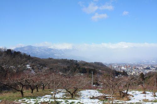 福島県福島市 花見山公園の情報 2019年1月11日 IMG_5524