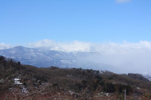 福島県福島市 花見山公園の情報 2019年1月11日 IMG_5525