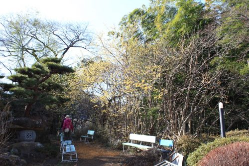 福島県福島市 花見山公園の情報 2019年2月7日 IMG_5530