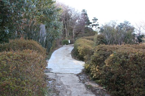 福島県福島市 花見山公園の情報 2019年2月7日 IMG_5535