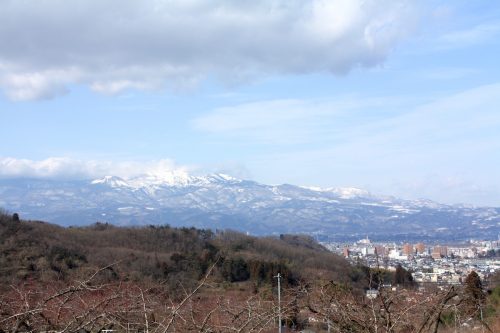 福島県福島市 花見山公園の情報 2019年2月7日 IMG_5537