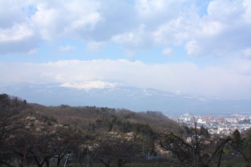 福島県福島市 花見山公園の情報 2019年3月13日 IMG_5667