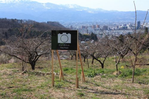 福島県福島市 花見山公園の情報 2019年3月26日 IMG_5680