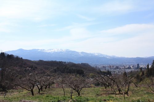 福島県福島市 花見山公園の情報 2019年3月26日 IMG_5681