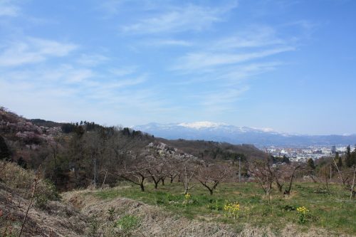 福島県福島市 花見山公園の情報 2019年4月5日 IMG_5702