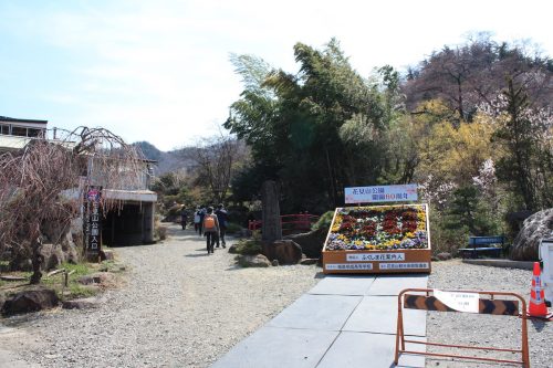 福島県福島市 花見山公園の情報 2019年4月5日 IMG_5716