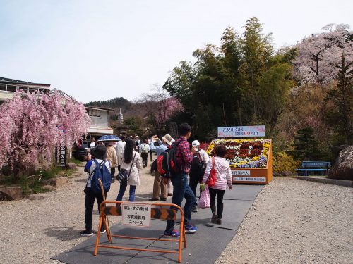 福島県福島市 花見山公園の情報 2019年4月17日