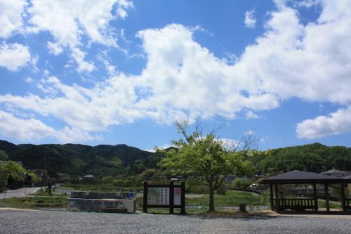 福島県福島市 花見山公園の情報 2019年5月7日 IMG_5979