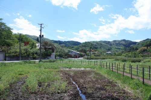 福島県福島市 花見山公園の情報 2019年5月7日 IMG_5981