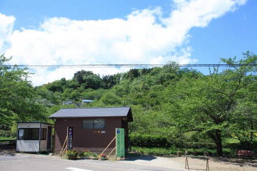 福島県福島市 花見山公園の情報 2019年5月7日 IMG_5982