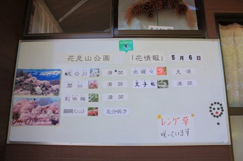 福島県福島市 花見山公園の情報 2019年5月7日 IMG_5983