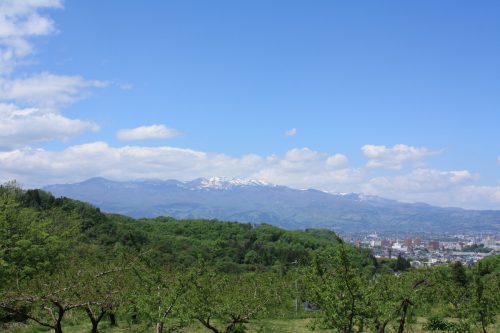 福島県福島市 花見山公園の情報 2019年5月7日 IMG_5992