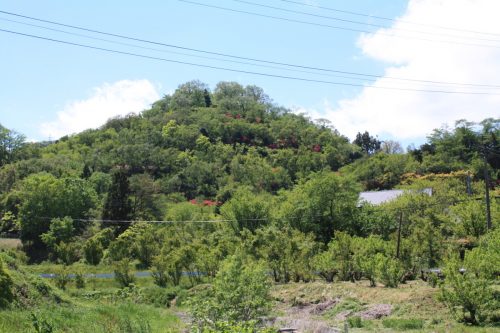 福島県福島市 花見山公園の情報 2019年5月7日 IMG_5993