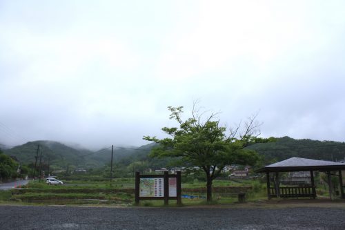 福島県福島市 花見山公園の情報 2019年6月10日 IMG_6045