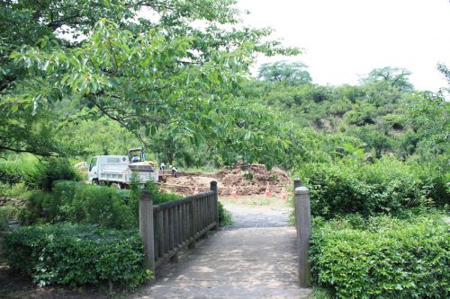 福島県福島市 花見山公園の情報 2019年7月3日 IMG_6130