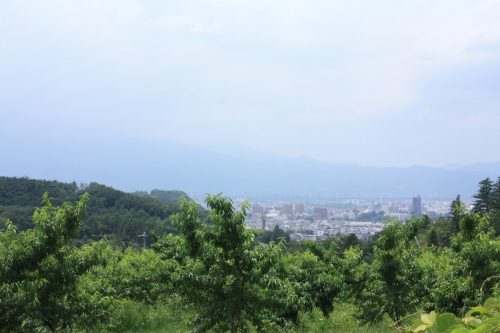 福島県福島市 花見山公園の情報 2019年7月3日 IMG_6139