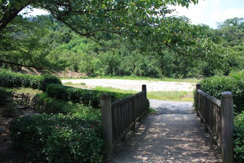 2019年8月6日福島県福島市 花見山公園の情報。菜の花畑だった所