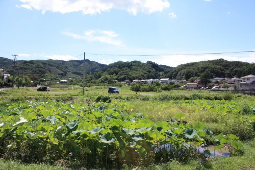 福島県福島市 花見山公園の情報 2019年9月12日 IMG_6215