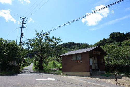 福島県福島市 花見山公園の情報 2019年9月12日 IMG_6216