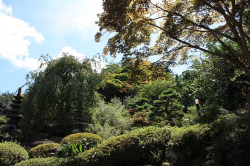 福島県福島市 花見山公園の情報 2019年9月12日 IMG_6220