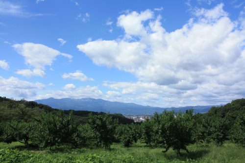 福島県福島市 花見山公園の情報 2019年9月12日 IMG_6221