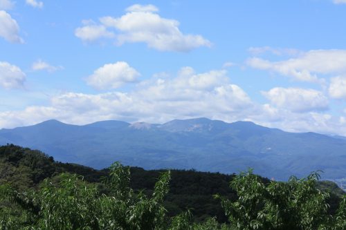 福島県福島市 花見山公園の情報 2019年9月12日 IMG_6222