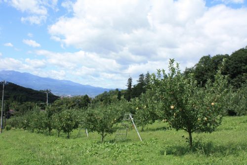 福島県福島市 花見山公園の情報 2019年9月12日 IMG_6223