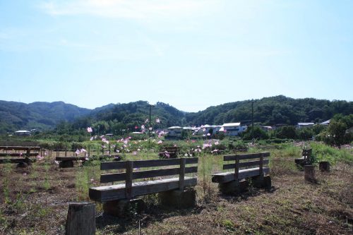 福島県福島市 花見山公園の情報 2019年10月1日 IMG_6457