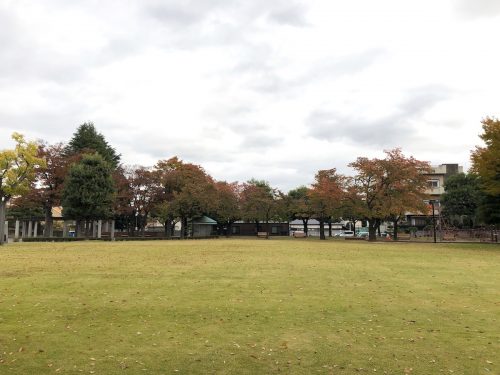 福島県福島市 新浜公園の紅葉 2019年11月6日