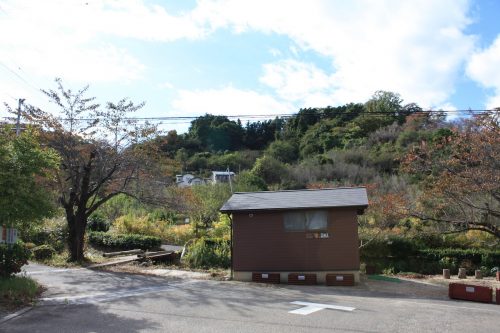 福島県福島市 花見山公園の情報 2019年11月5日 IMG_6693