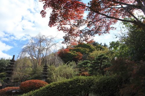 福島県福島市 花見山公園の情報 2019年11月5日 IMG_6695