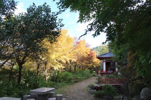 福島県福島市 花見山公園の情報 2019年11月5日 IMG_6697