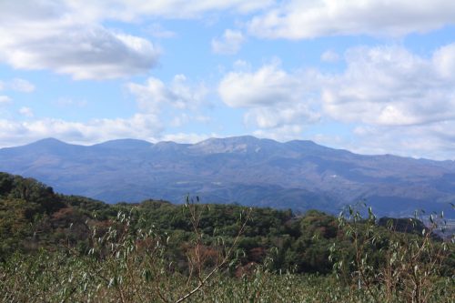 福島県福島市 花見山公園の情報 2019年11月5日 IMG_6700