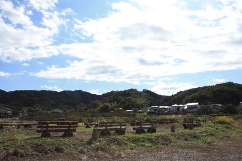 福島県福島市 花見山公園の情報 2019年11月5日 IMG_6704