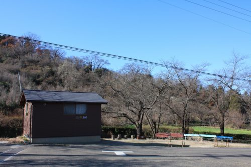 福島県福島市 花見山公園の情報 2019年12月9日 IMG_6795