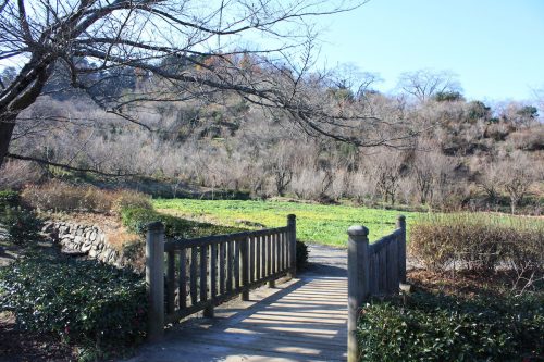 福島県福島市 花見山公園の情報 2019年12月9日 IMG_6799