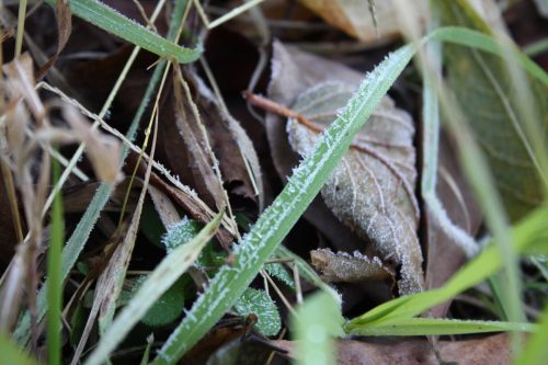 福島県福島市 花見山公園の情報 2019年12月9日 IMG_6800