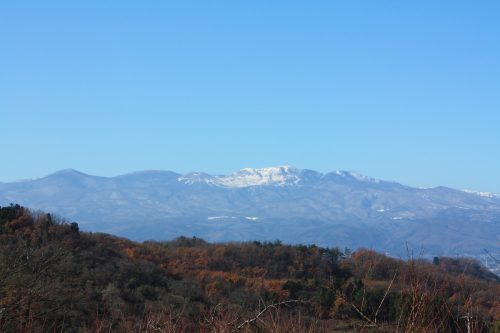 福島県福島市 花見山公園の情報 2019年12月9日 IMG_6805