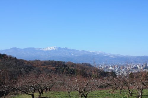 福島県福島市 花見山公園の情報 2019年12月9日 IMG_6806